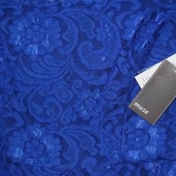 Muse Shift Dress Illusion Floral Cotton Lace Dress - Picture 5 of 5